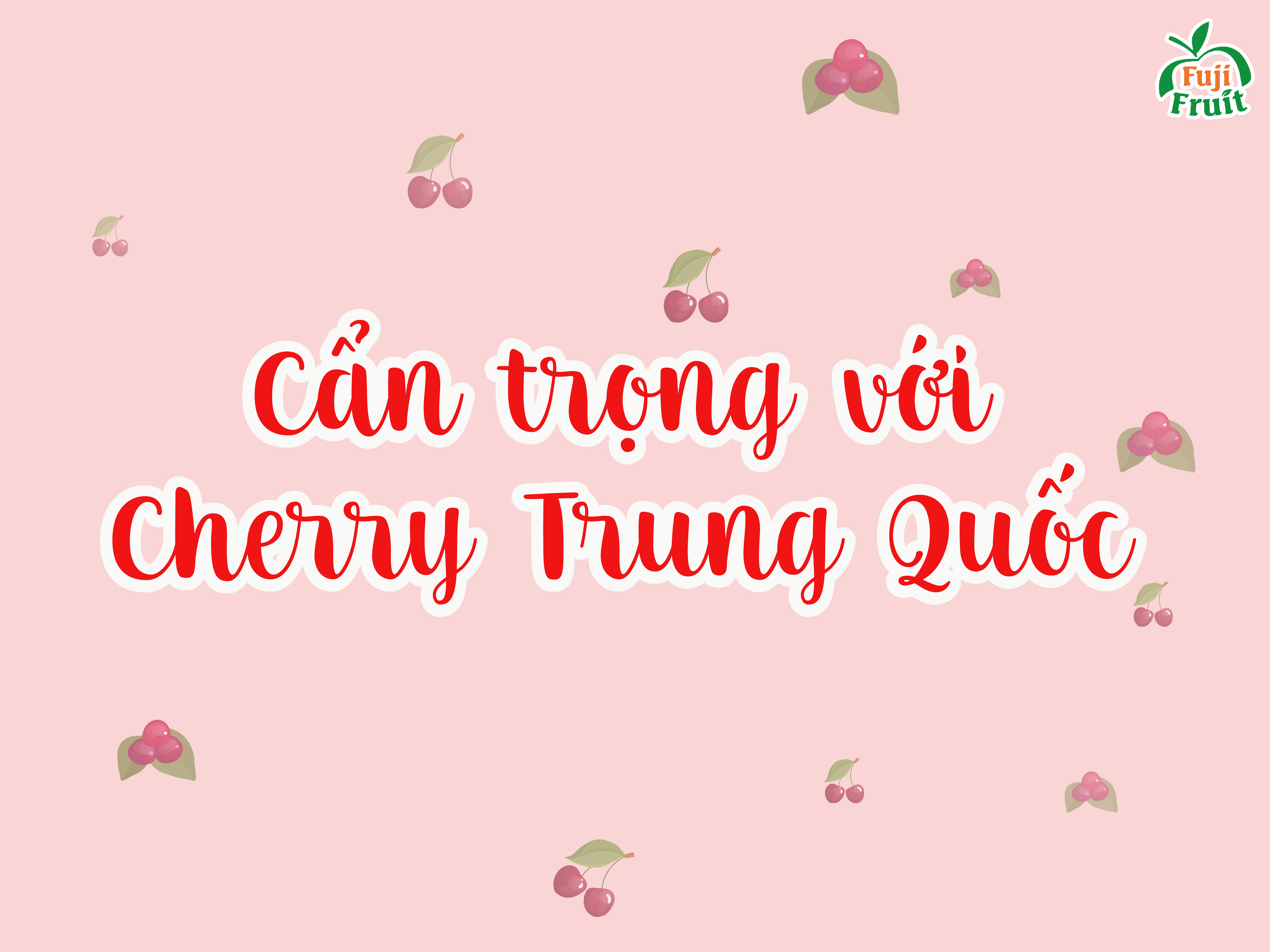 Cẩn trọng với Cherry Trung Quốc - hãy là người tiêu dùng thông thái