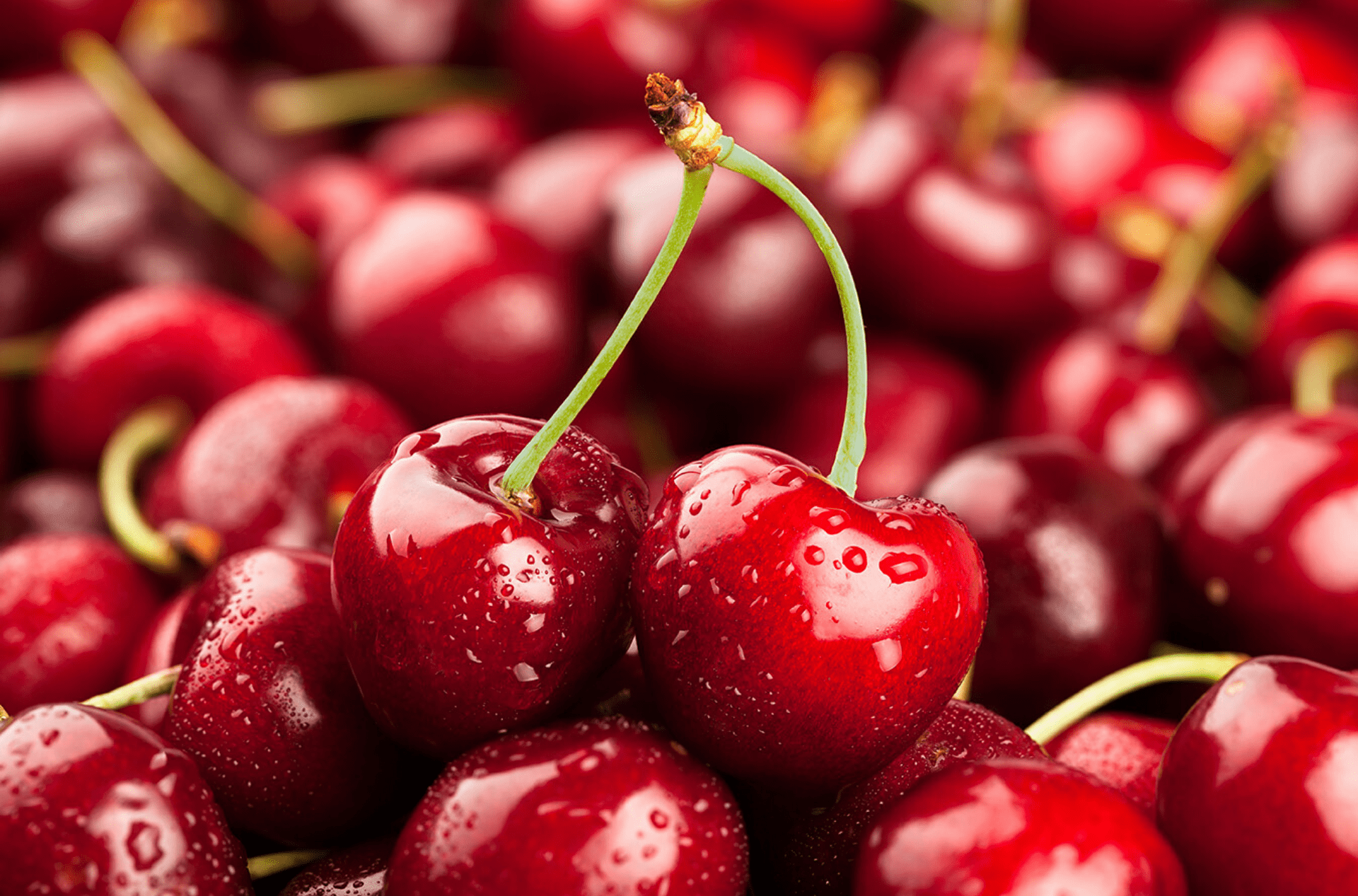 Giá Cherry Mỹ Trên Thị Trường Hiện Nay | Hoa Quả Sạch Fuji | Hệ thống hoa  quả sạch nhập khẩu Fuji