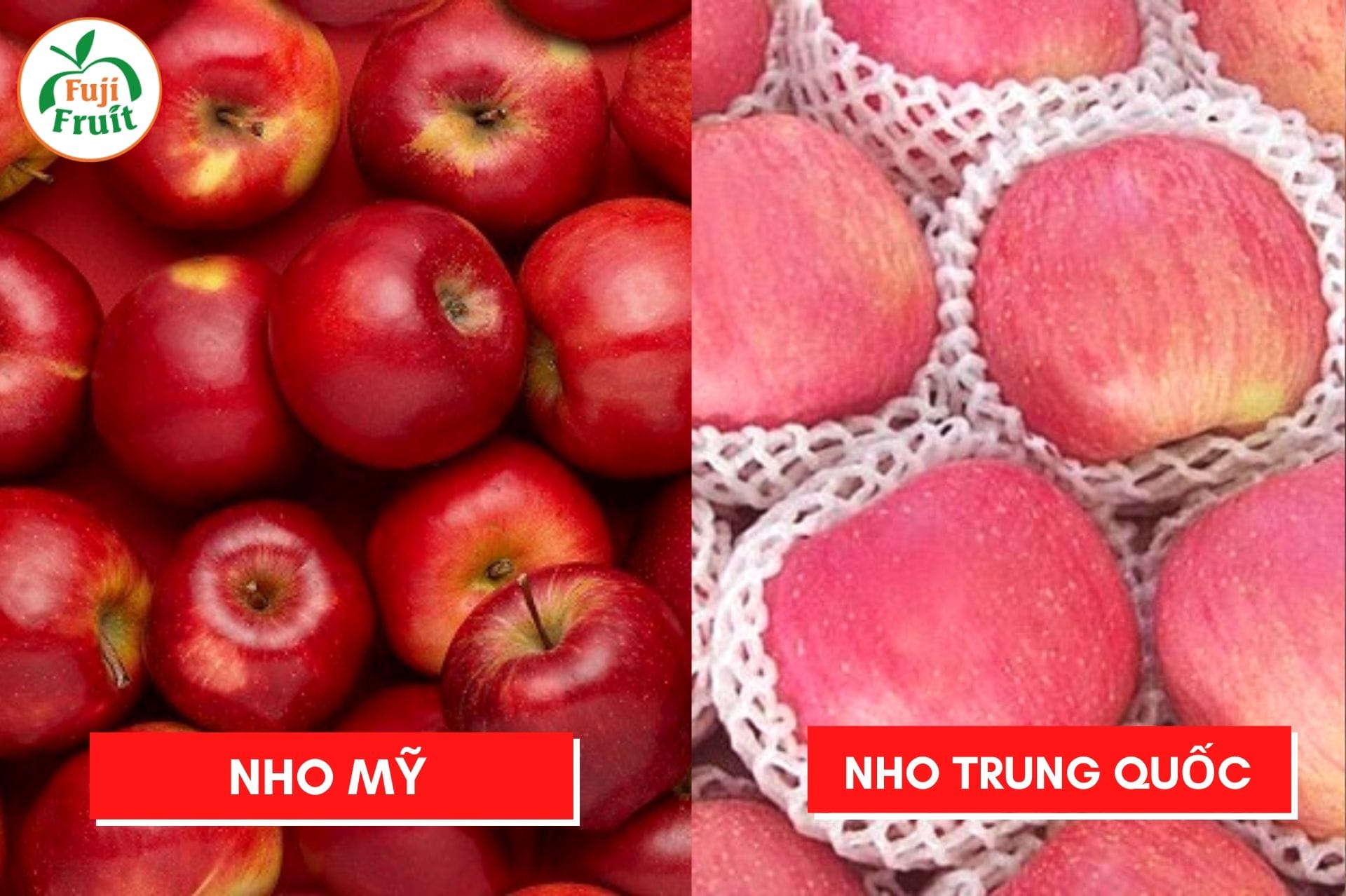 Cách phân biệt quả táo Mỹ và táo Trung Quốc | Hoa quả Fuji | Hệ ...