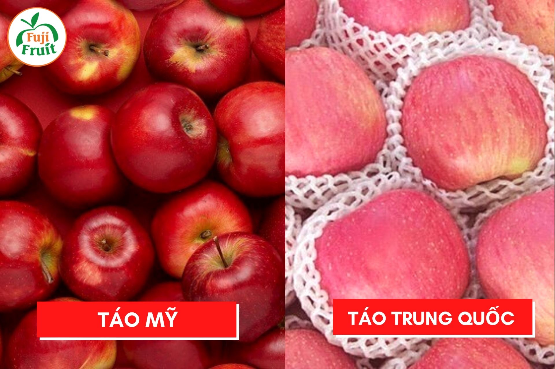 Cách phân biệt quả táo Mỹ và táo Trung Quốc