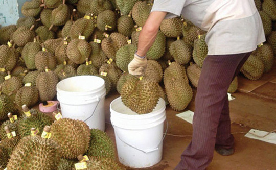 Tràn lan hoa quả tẩm hóa chất - Mối nguy hại cho sức khỏe người tiêu dùng Việt