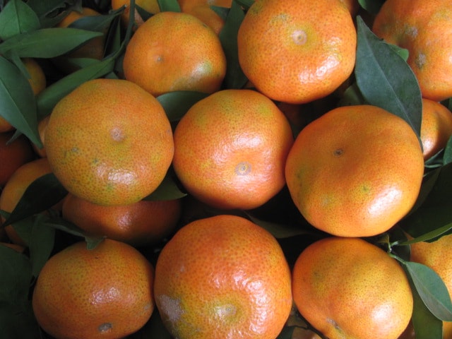 Quả cam Canh giá bao nhiêu trên thị trường ? | Fuji Fruit | Hệ thống hoa quả sạch nhập khẩu Fuji