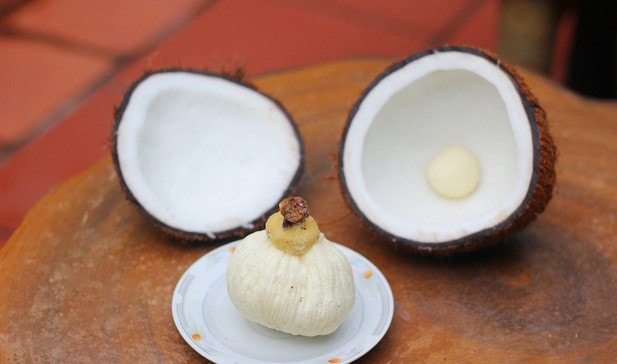 Mộng dừa tươi là gì? Ăn có tốt không? | Hoa Quả Sạch Fuji | Hệ thống hoa quả sạch nhập khẩu Fuji
