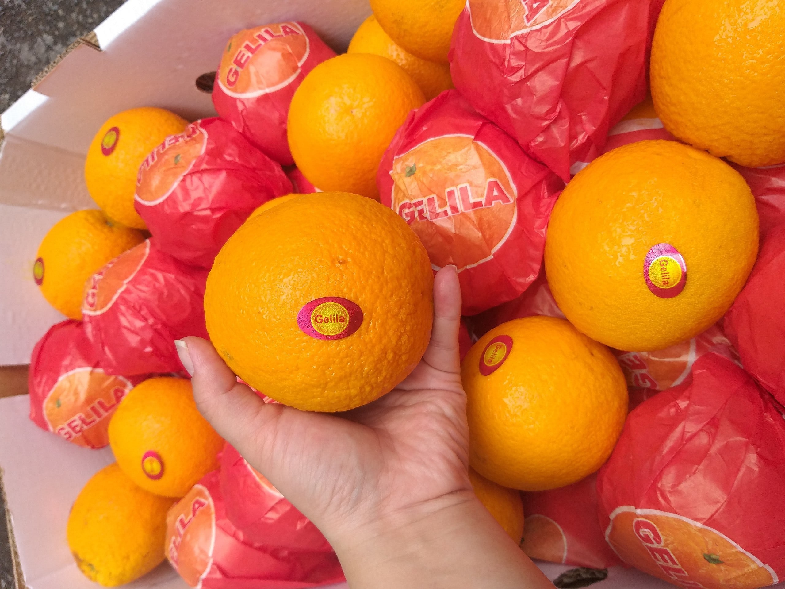 Một trái cam có bao nhiêu Calo, Hoa Quả Sạch Fuji Fruit