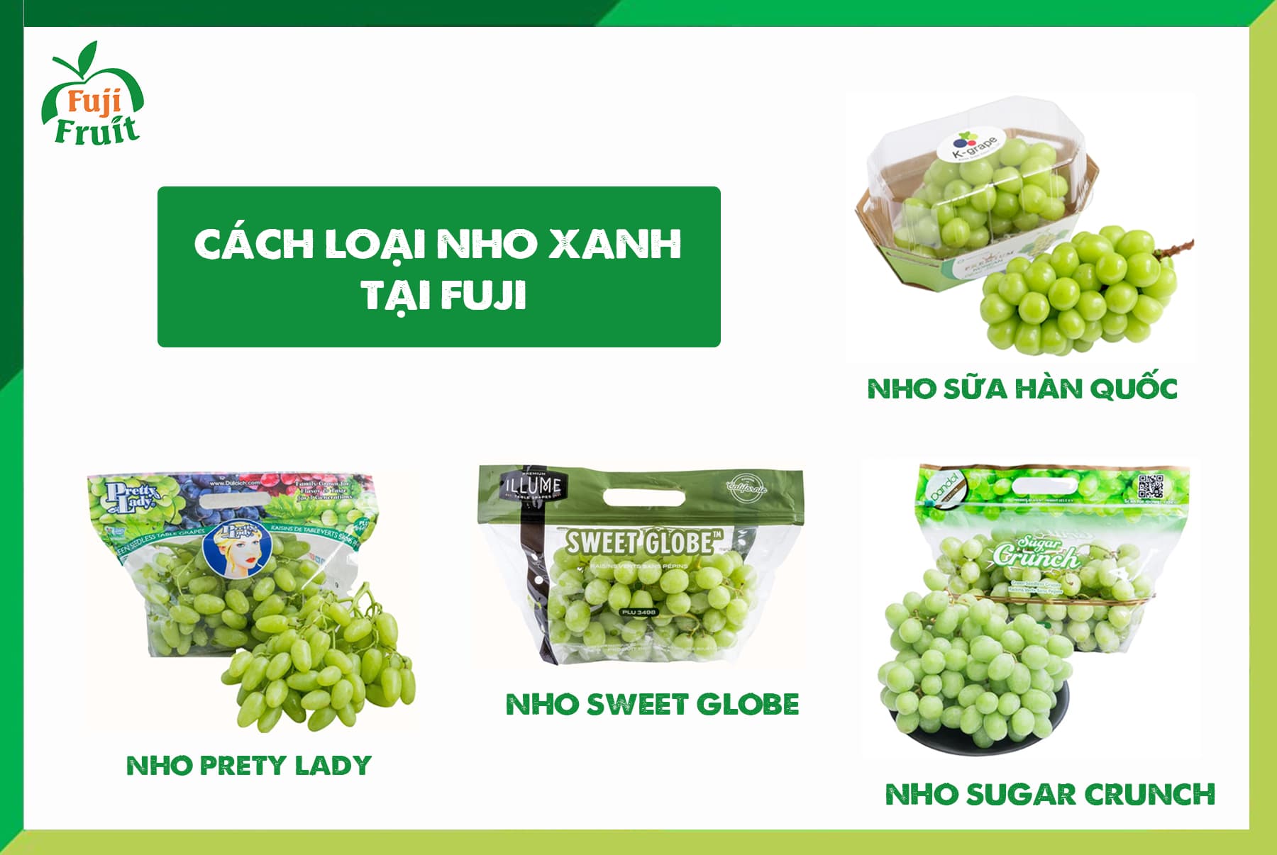 Nho xanh không hạt Mỹ bao nhiêu tiền 1kg | Fuji Fruit | Hệ thống hoa quả sạch nhập khẩu Fuji