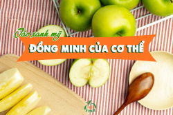 Quả táo xanh có những công dụng gì?