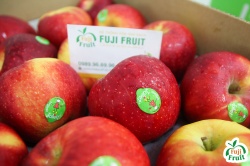 Táo Juliet Organic Pháp - dòng táo hữu cơ đầu tiên có mặt tại Việt Nam