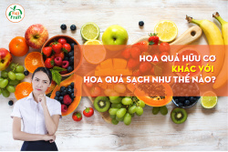 Hoa Qủa Hữu Cơ Khác Với Hoa Qủa Sạch Như Nào?