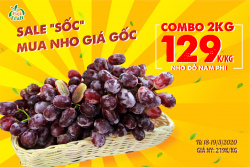 SALE SỐC - MUA NHO GIÁ GỐC NHO ĐỎ NAM PHI CHỈ 129K