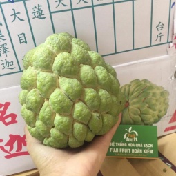 Na Bở Đài Loan