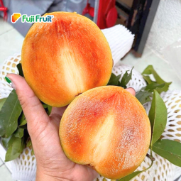Hồng Xiêm Mehico Việt