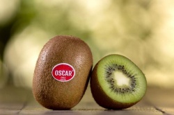 Vì Sao Thương hiệu kiwi xanh Pháp được ưa chuộng trên thế giới