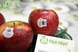 TÁO ENVY NEW ZEALAND CỦA NƯỚC NÀO? CÓ THỰC SỰ TỐT KHÔNG?