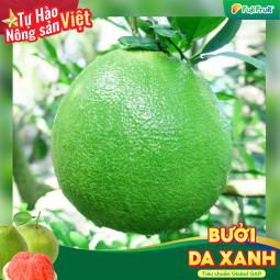 Bưởi da xanh Fuji