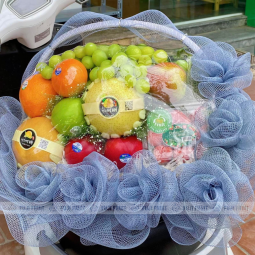 Giỏ quả biếu tặng 16