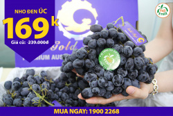 BIG SALE: NHO ĐEN ÚC!!!