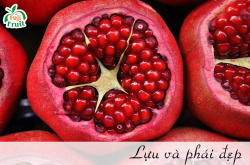 Chuyên gia chỉ cách dùng trái lựu trong làm đẹp