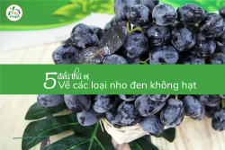 5 điều thú vị về các loại nho đen không hạt