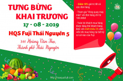 TƯNG BỪNG KHAI TRƯƠNG HQS FUJI THÁI NGUYÊN 5