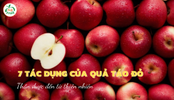 7 Tác dụng của quả táo đỏ - Thần dược đến từ thiên nhiên