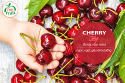Giá Quả Cherry Mỹ Nhập Khẩu Đầu Vụ, Cuối Vụ, Chính Vụ