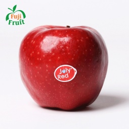 Táo Joly Red Hà Lan