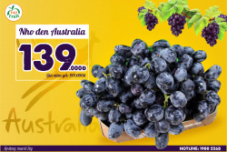 SIÊU ƯU ĐÃI: NHO ĐEN ÚC 139K