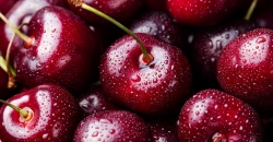Các loại cherry nhập khẩu trên thị trường Việt Nam