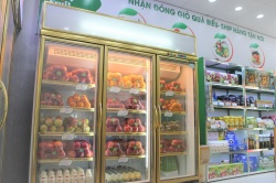 Shop hoa quả sạch nhập khẩu tốt nhất tại Hà Nội