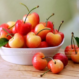 Cherry Vàng