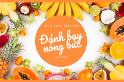 TOP 5 LOẠI TRÁI CÂY ĐÁNH BAY NÓNG BỨC